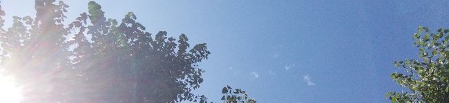 ハニバタ's header image