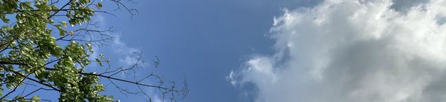 ゆかみお's header image