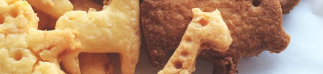 oratnin's header image
