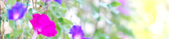 咲都♡'s header image
