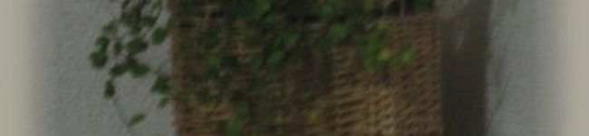 ayayanmama's header image