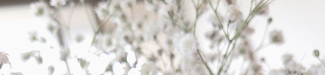 yurii♡chan's header image