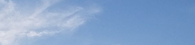 三日月ニラ's header image