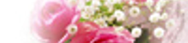 えびすがお's header image