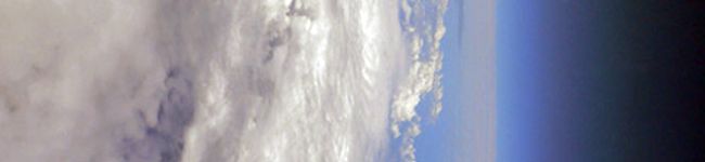 ちゃピ丸's header image