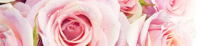 audrey44224's header image