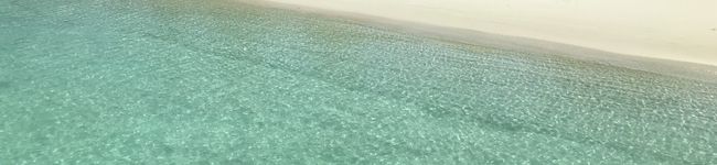 Oceanlover's header image