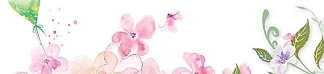 とらの丸々生活's header image