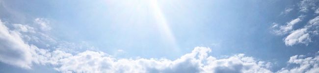 料理が好きな大学生's header image