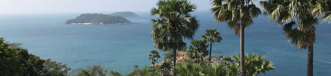 chiialoha's header image