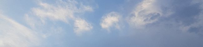 《さくら組》's header image