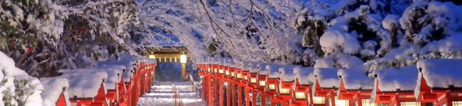 ただそこら辺にいる人's header image