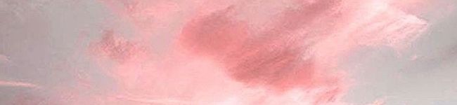 ☆NASI☆'s header image