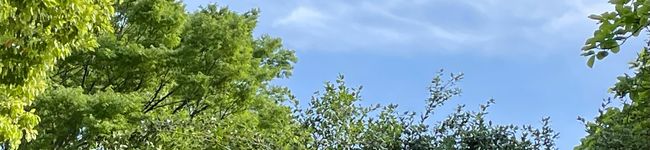 shioshiro's header image