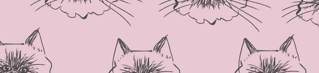 mzklee's header image