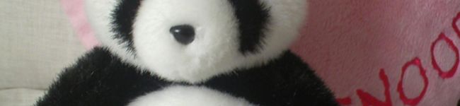 ぱんだたん's header image