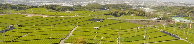 八女市's header image