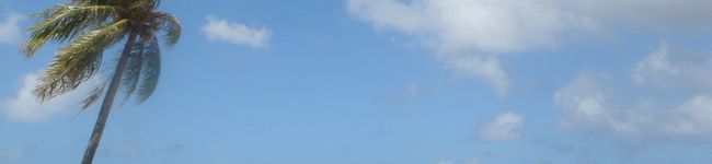 さやミント's header image