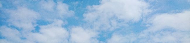 コックぴよたま's header image
