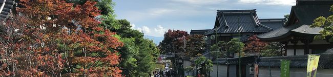 限界大学生☆自炊☆'s header image