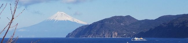 つっちー0313's header image