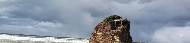asaminss's header image