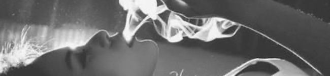 shiba7585's header image