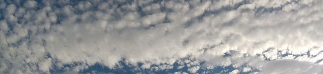 そられも's header image