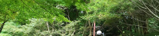 ☆黒猫あんこ☆'s header image