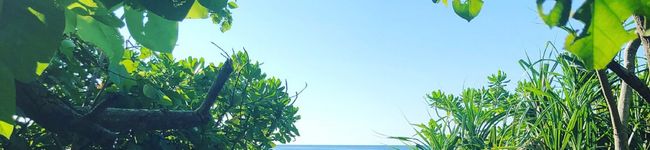 グルテンフリータカコ's header image