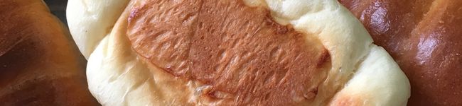 uapan's header image
