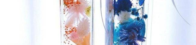 satomiya's header image