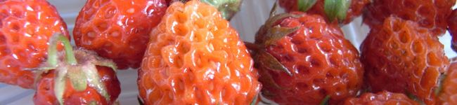 KSJN's header image