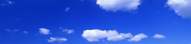 おたま邪クシ's header image