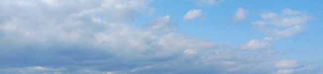 cocohana⭐'s header image