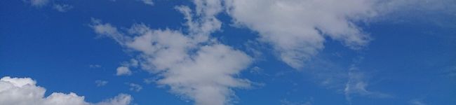 こあらにゃん's header image