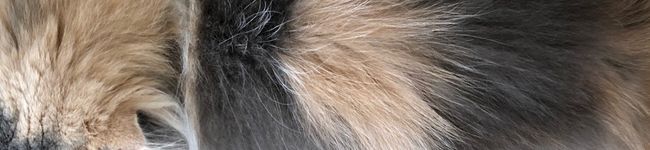 coco821's header image