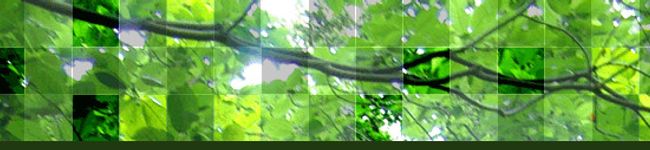 ｗａｚ's header image