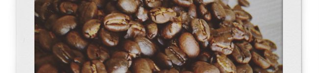 snowsoup's header image