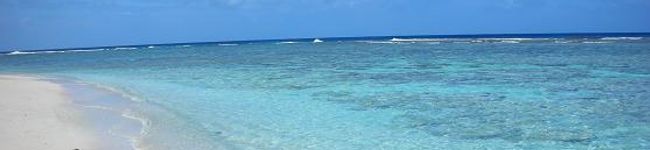 imocoro's header image
