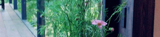 クックゆ〜ほキッチン's header image