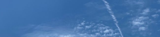 かじゅsunset's header image