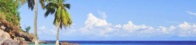 準君のｍａｍａ's header image
