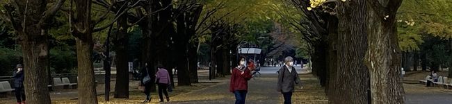 ゆうたろうっち's header image