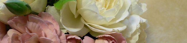 あや１１０３'s header image