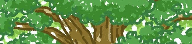 木冬ママ's header image