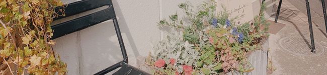 rinrin033's header image