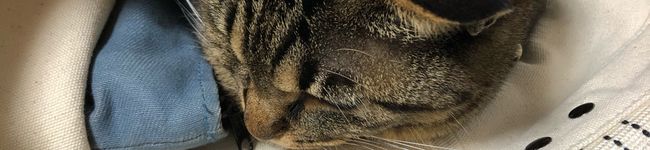 M_mamard☆'s header image