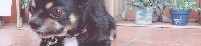 ♪fuyu722♪'s header image