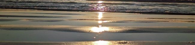 麒螺39's header image